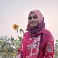 Nafisa Nusrat  Saiba