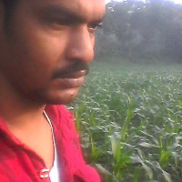 Ak azad Tara