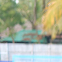 Shikha  Ahmad 